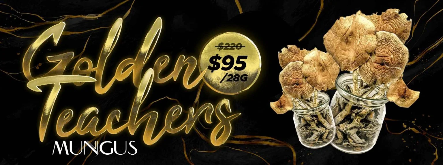 buy nevada mushroom chocolates