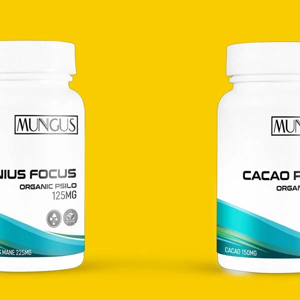 buy nevada mushroom chocolates