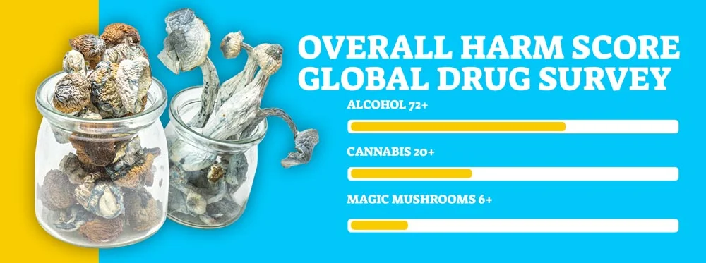 buy nevada mushroom chocolates